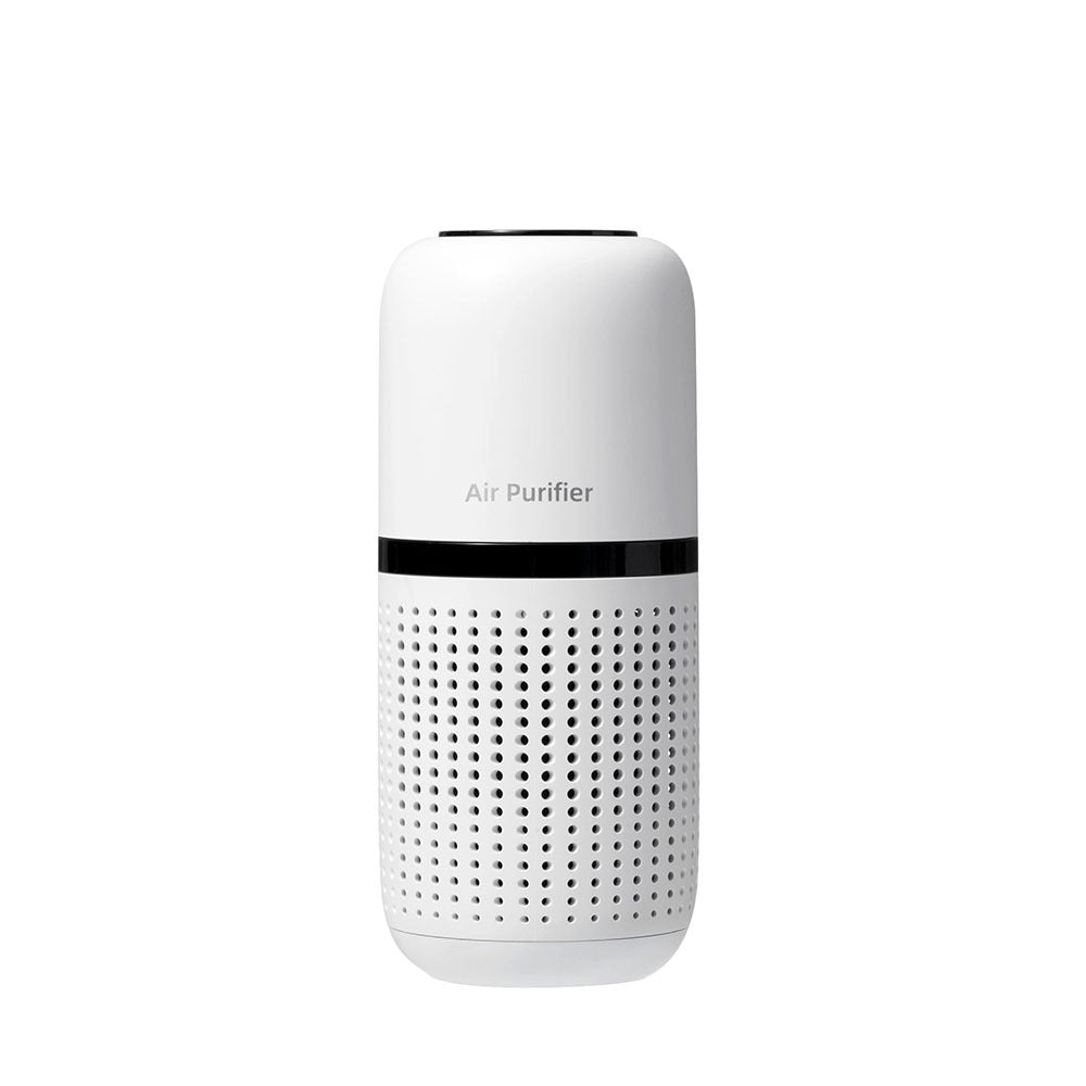 P02 Car Air Purifier - Mini Negative Ion Formaldehyde Eliminator