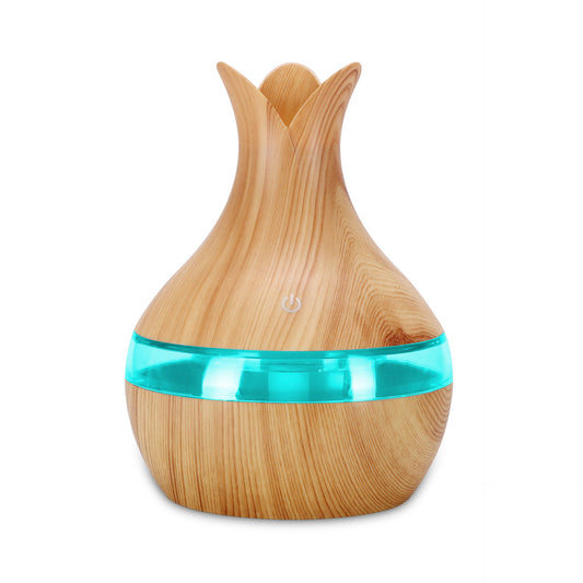 Translucent Mini USB Humidifier & Air Purifier